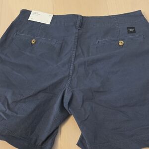 American Eagle Outfitters Navy Flat Front Shorts